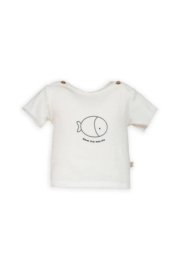 824 - MAGLIE - BAMBOOM