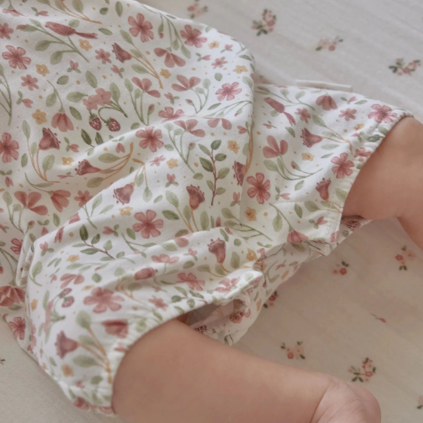 CL26024203 - PAGLIACCETTI - LITTLE DUTCH