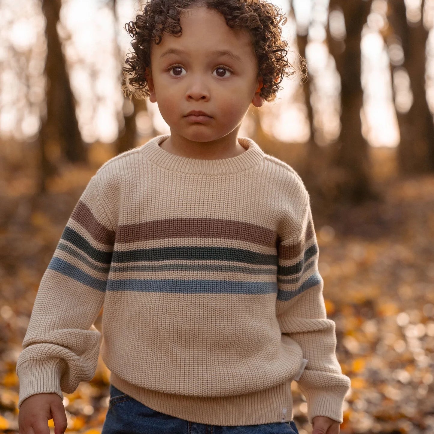 CL25092081 - MAGLIONE - LITTLE DUTCH