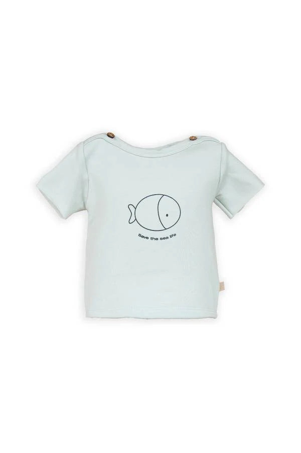 824 - MAGLIE - BAMBOOM
