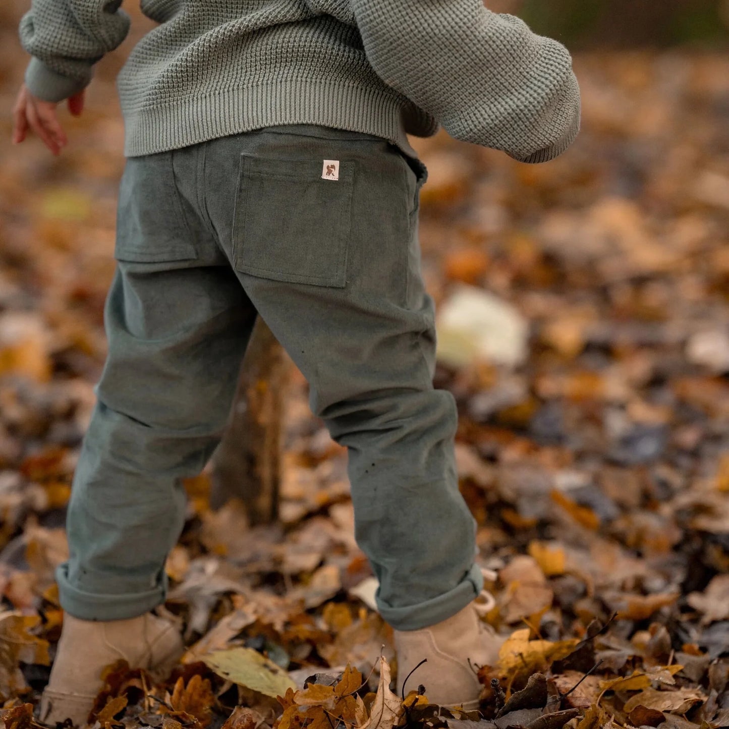 CL25093050 - Pantaloni - LITTLE DUTCH