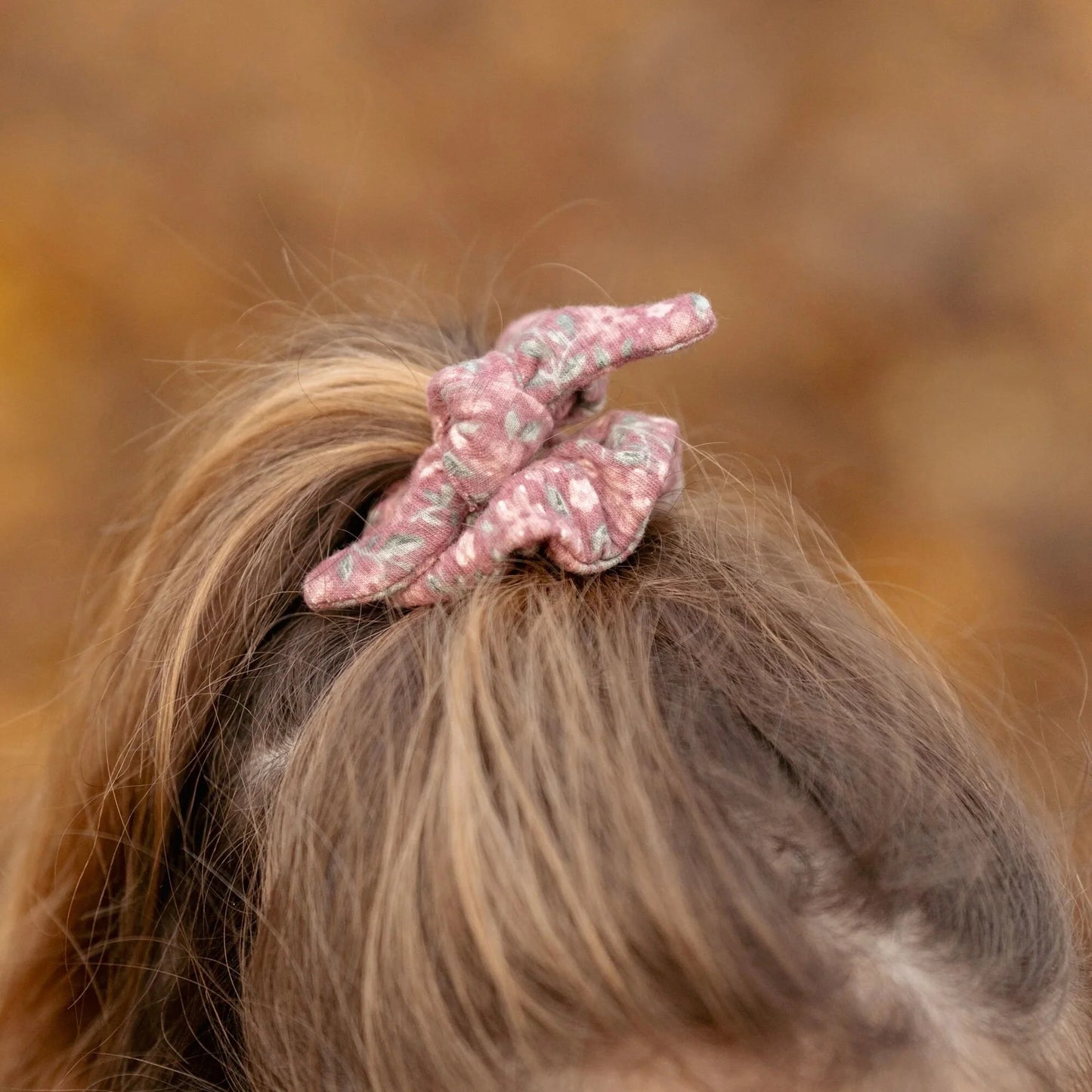 CL25099014 - ELASTICI CAPELLI - LITTLE DUTCH