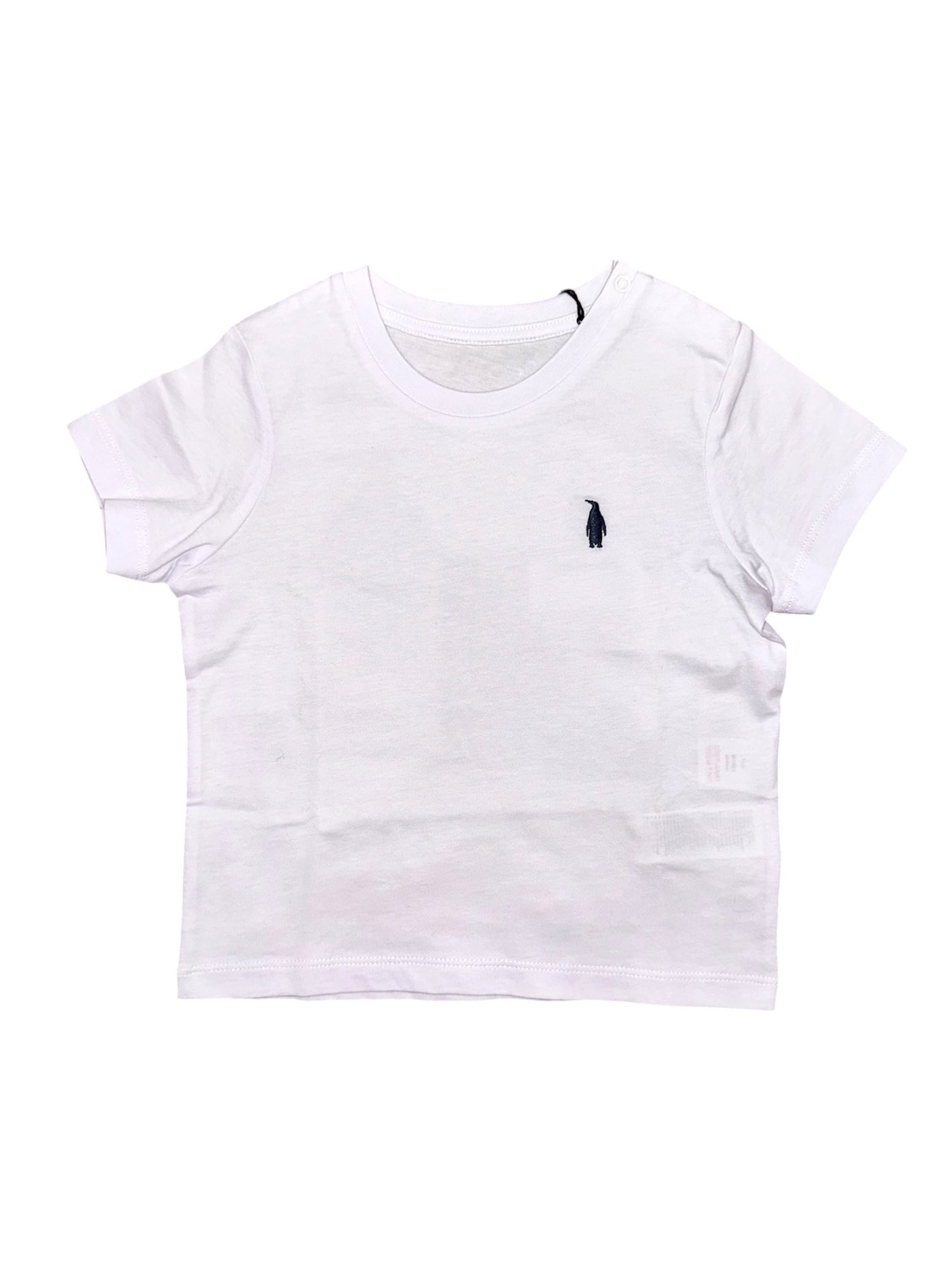 0003T - T-Shirt e Polo - WALT BAY