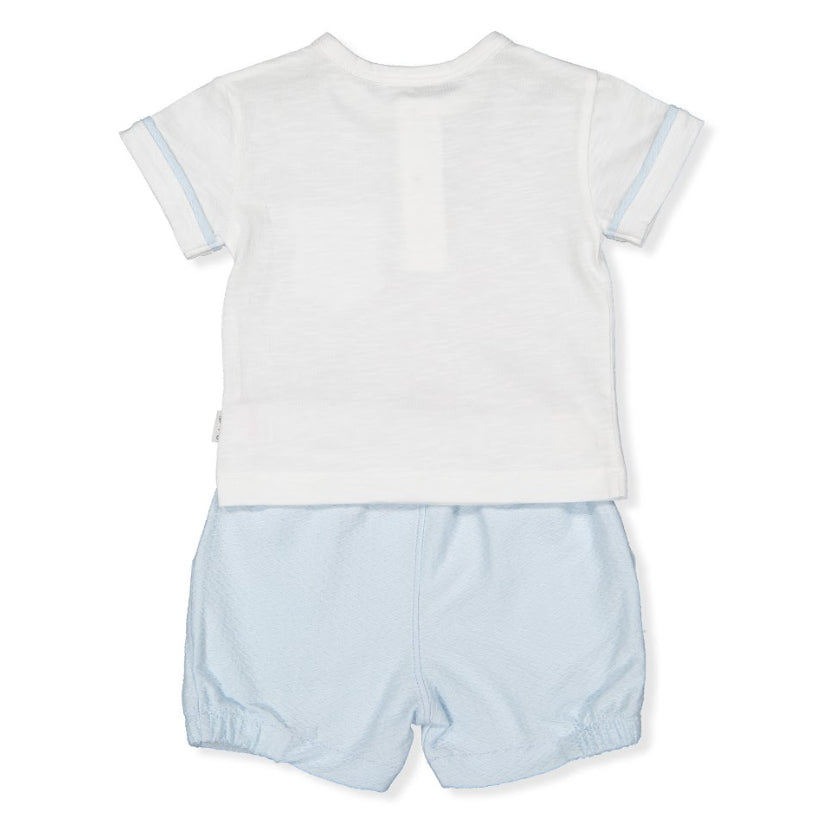 K4788 -  - BEBETTO