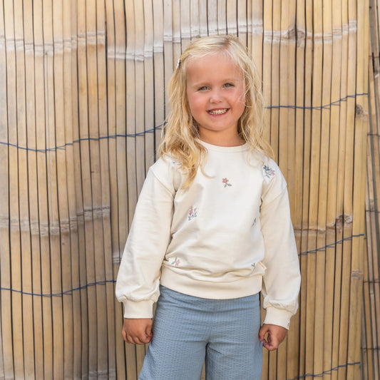CL26022013 - Felpe - LITTLE DUTCH