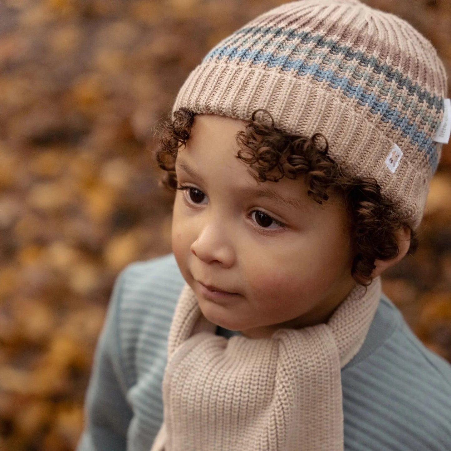 CL25099019 - CAPPELLO - LITTLE DUTCH