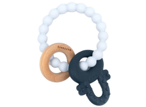 CAA82507 -  - BAMBOOM